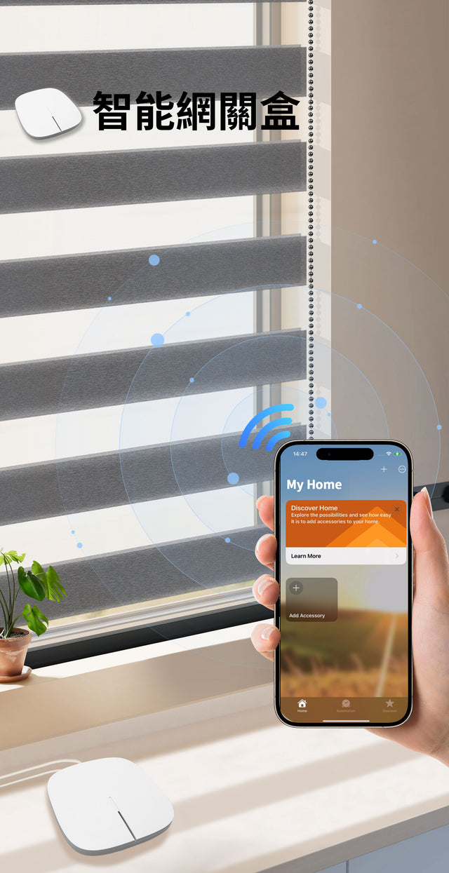 Solar-powered - Korean imported colored gauze curtains